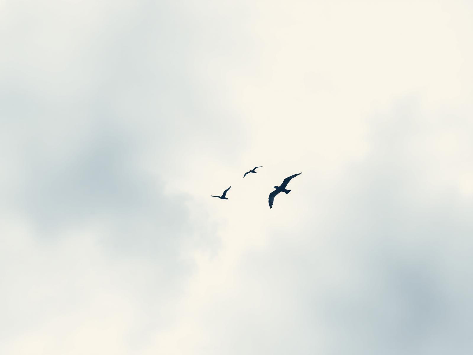 Migrating birds across an open sky